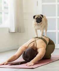 puppy yoga