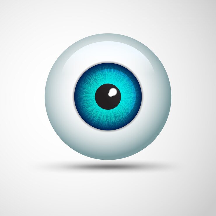 pimeyes
